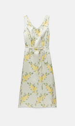 Sanspera S/less Dress Golden